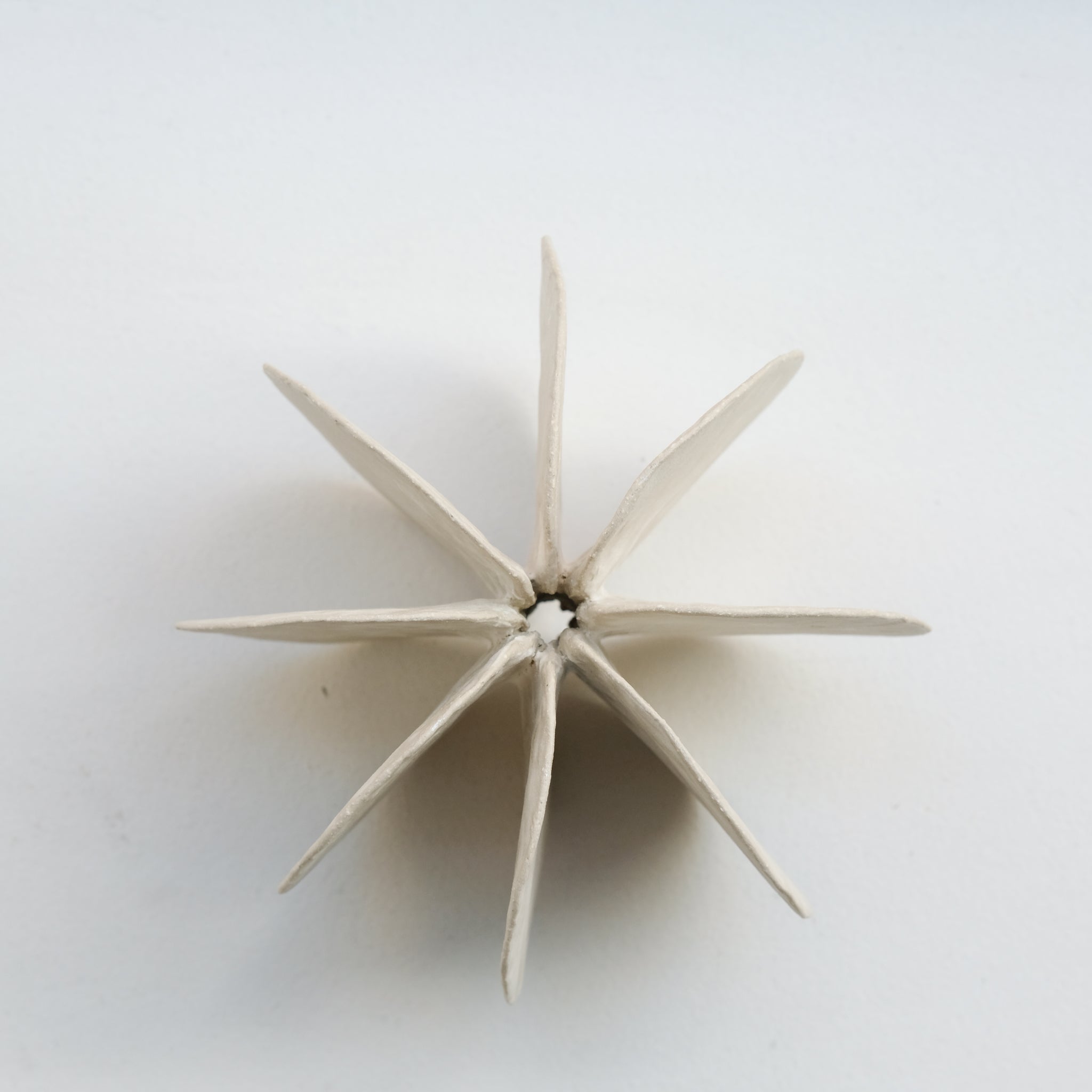 Objet Petale L D 14,5cm - blanc mat de Motoko Saigo chez Brutal Ceramics