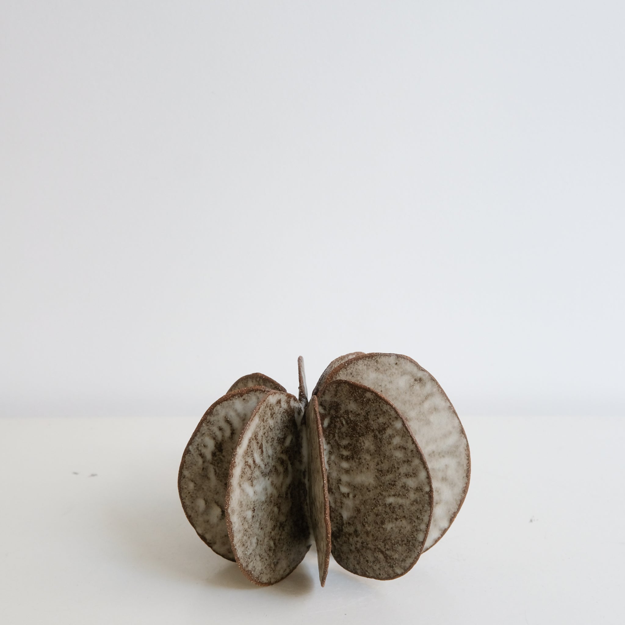Objet Petale L en grès blanc D 14cm - brun mat de Motoko Saigo chez Brutal Ceramics