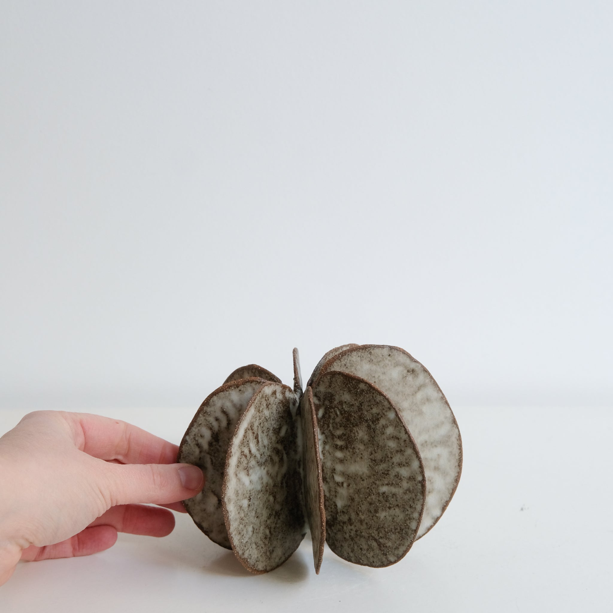 Objet Petale L en grès blanc D 14cm - brun mat de Motoko Saigo chez Brutal Ceramics