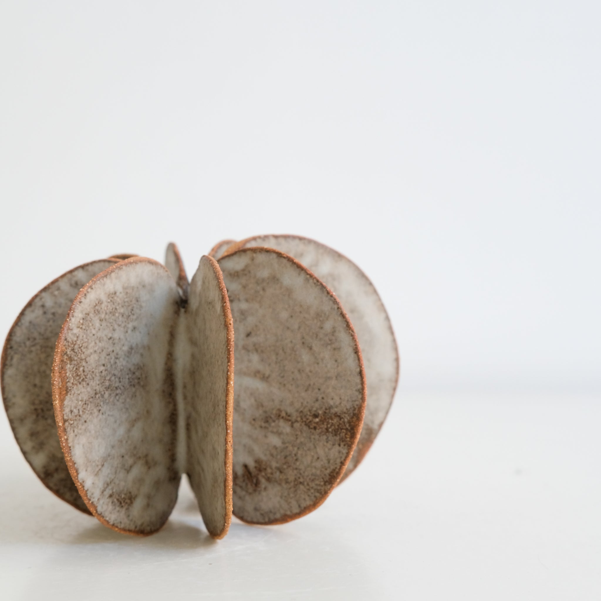 Objet Petale M en grès blanc D 10,8cm - brun mat de Motoko Saigo chez Brutal Ceramics