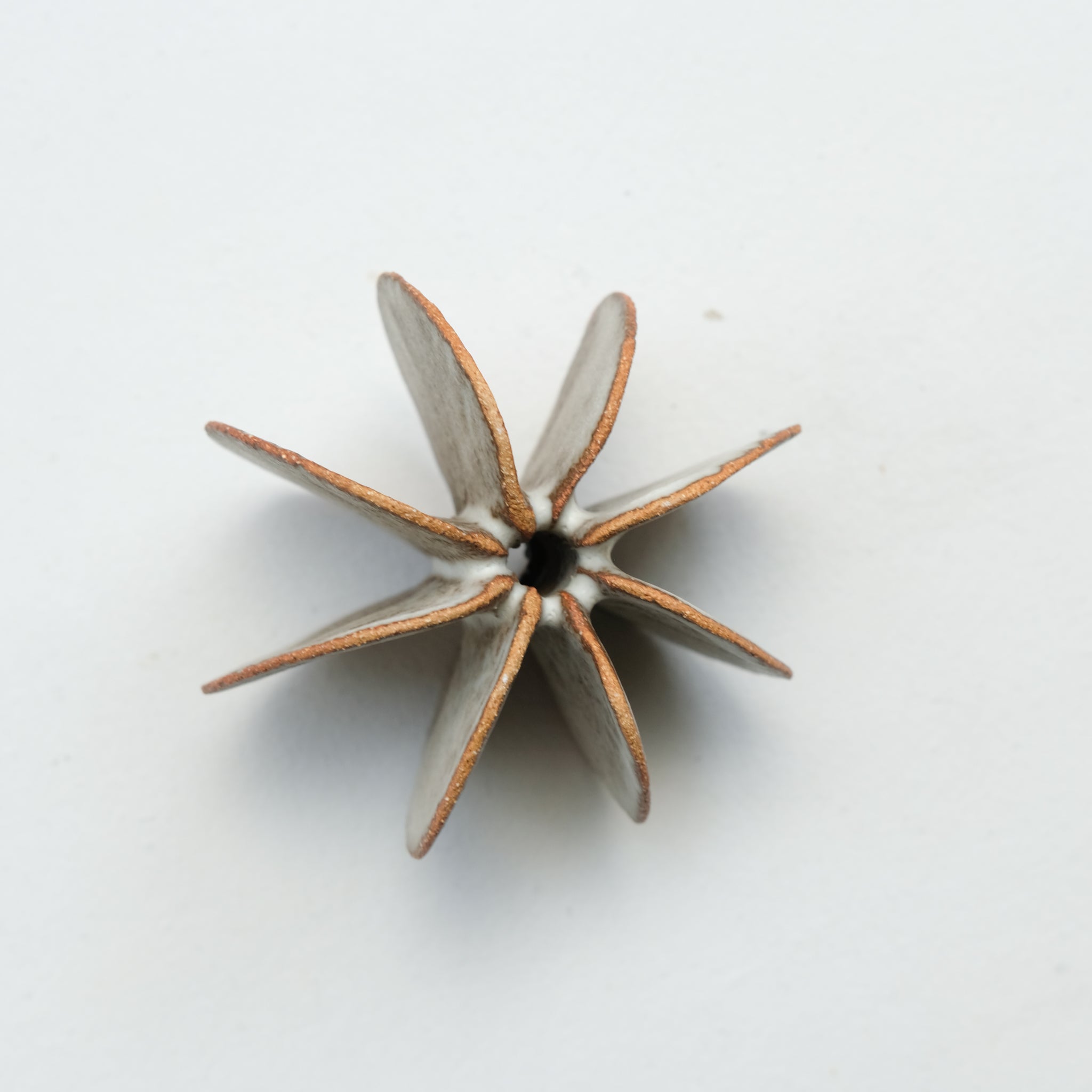 Objet Petale S en grès blanc D 9cm - brun mat de Motoko Saigo chez Brutal Ceramics
