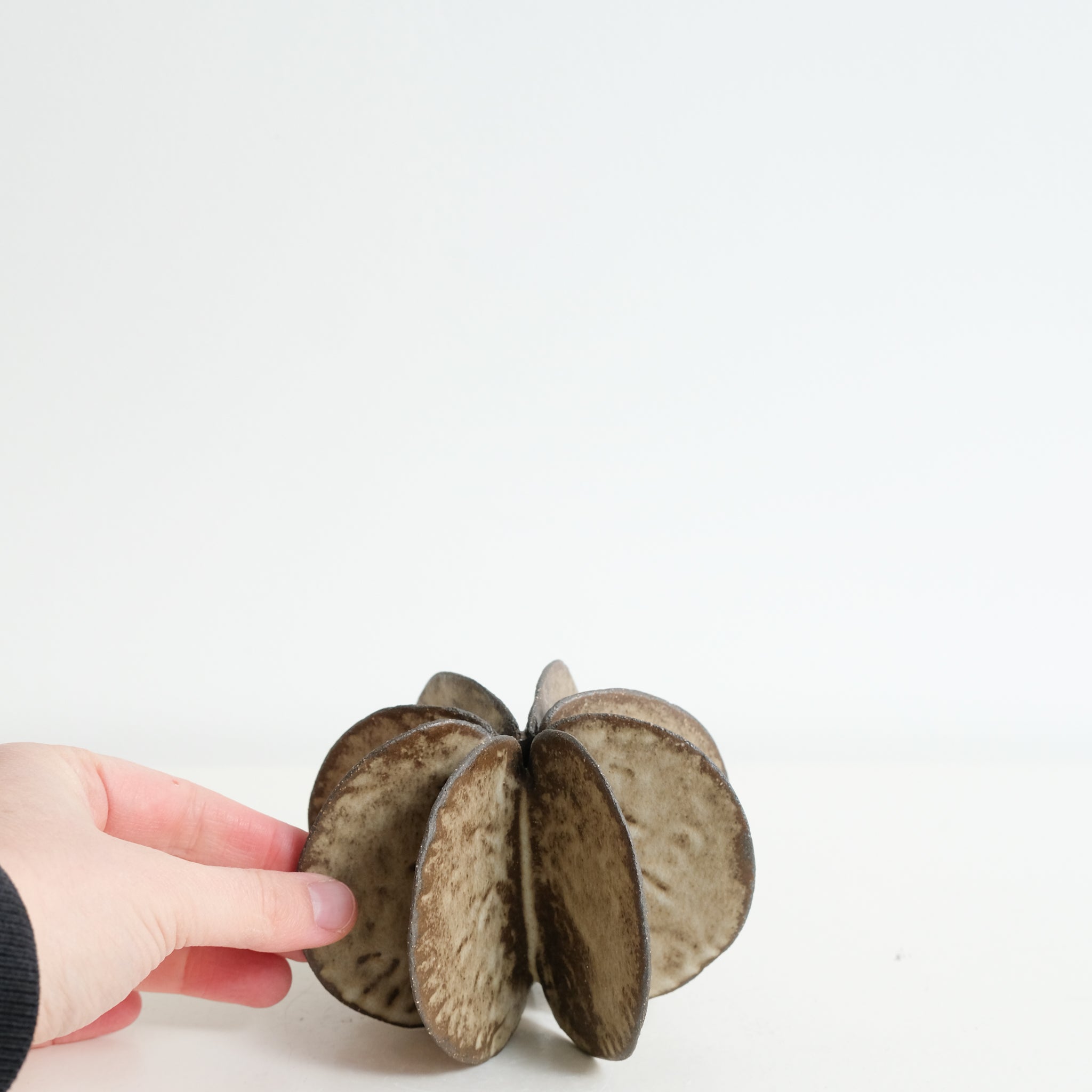 Objet Petale L en grès D 12cm - brun noir de Motoko Saigo chez Brutal Ceramics