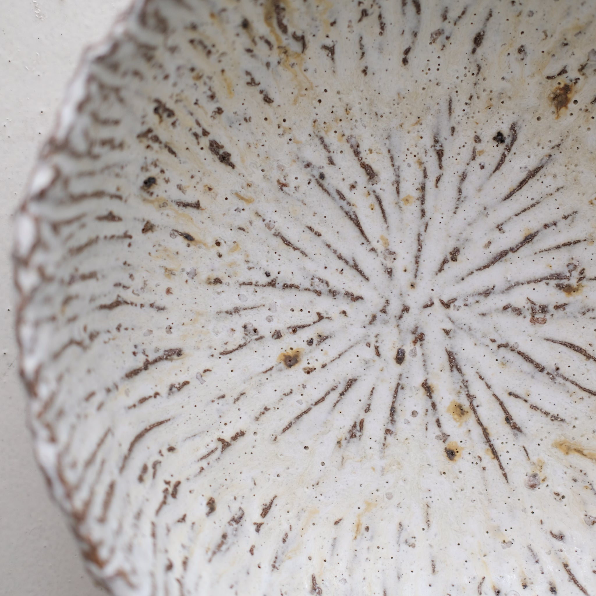 Saladier en terre recoltée D 28cm - blanc mat par Potry chez Brutal Ceramics