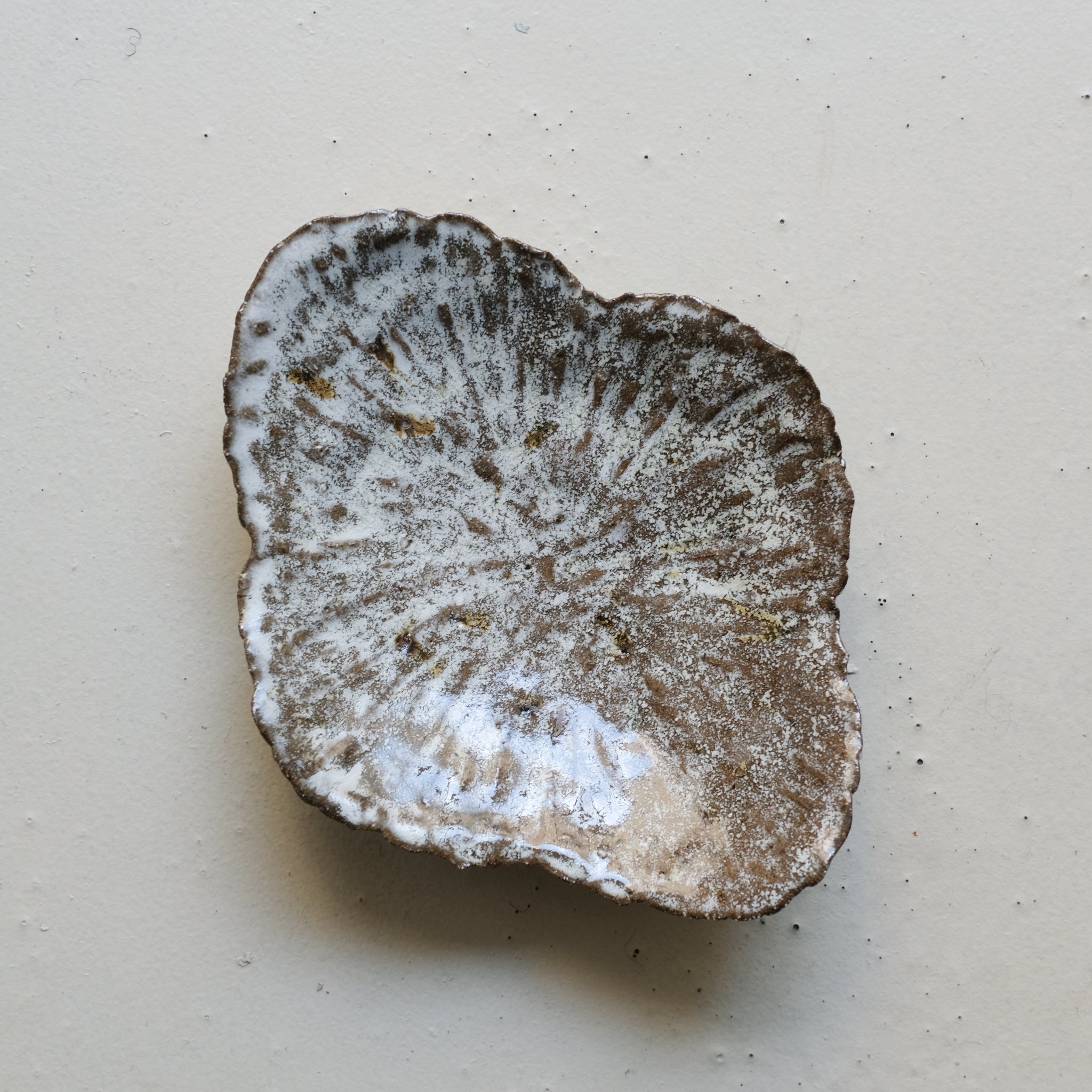 Assiette nénuphar L 20cm - brun blanc cuisson feu de Potry chez Brutal Ceramics