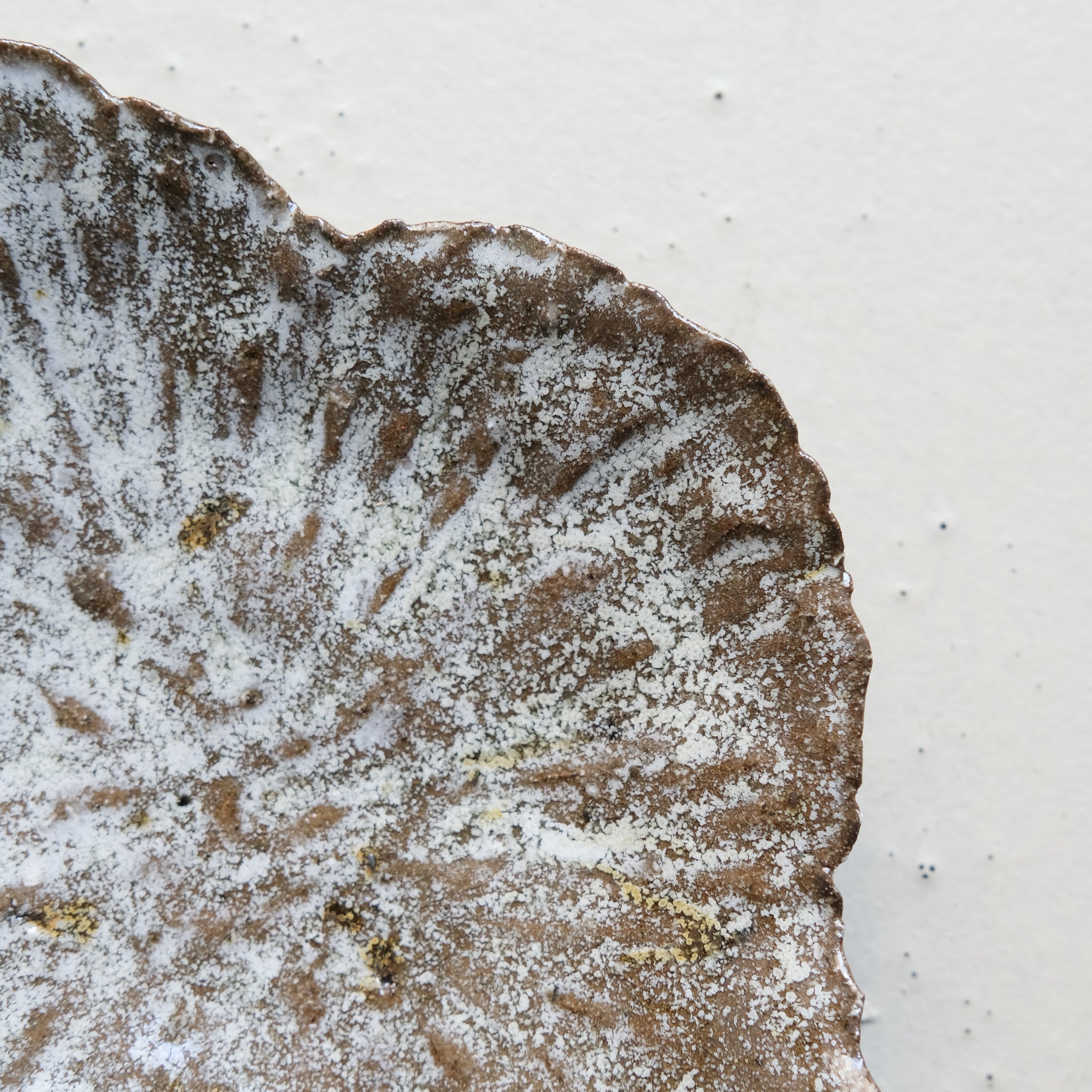 Assiette nénuphar L 20cm - brun blanc cuisson feu de Potry chez Brutal Ceramics