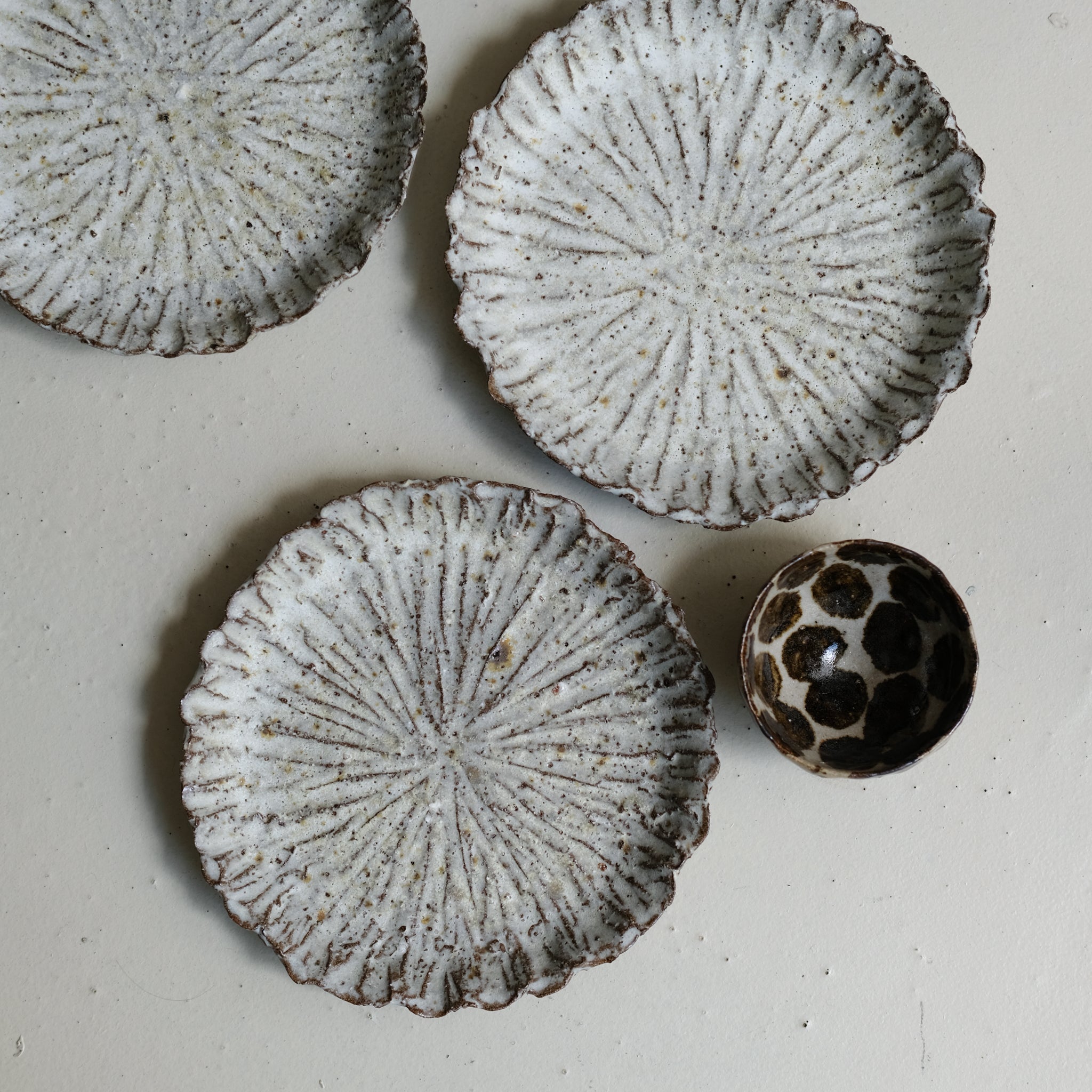 Assiette en terre recoltée D 19cm - blanc mat de Potry chez Brutal Ceramics