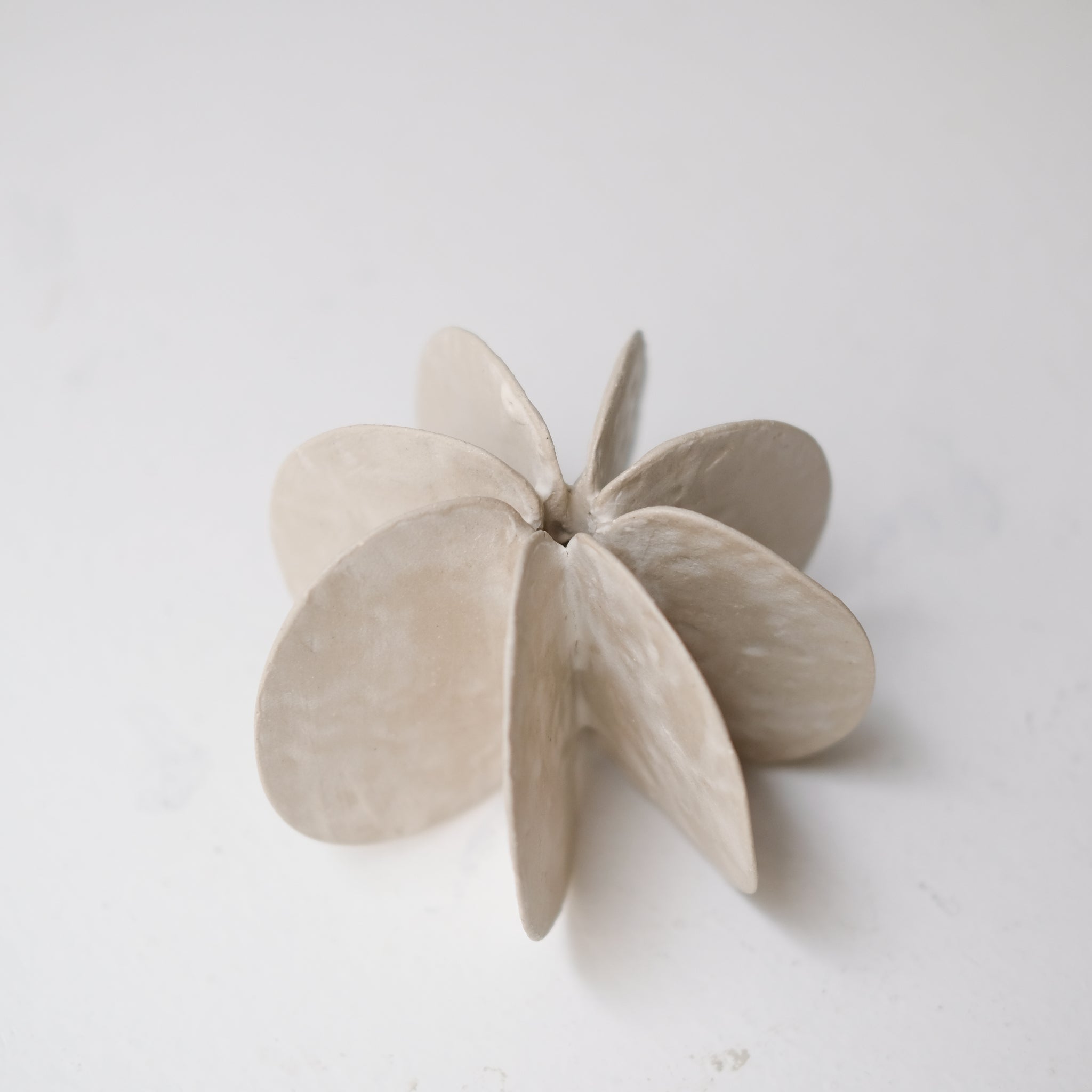 Objet Petale M en grès blanc D 11cm - blanc mat de Motoko Saigo chez Brutal