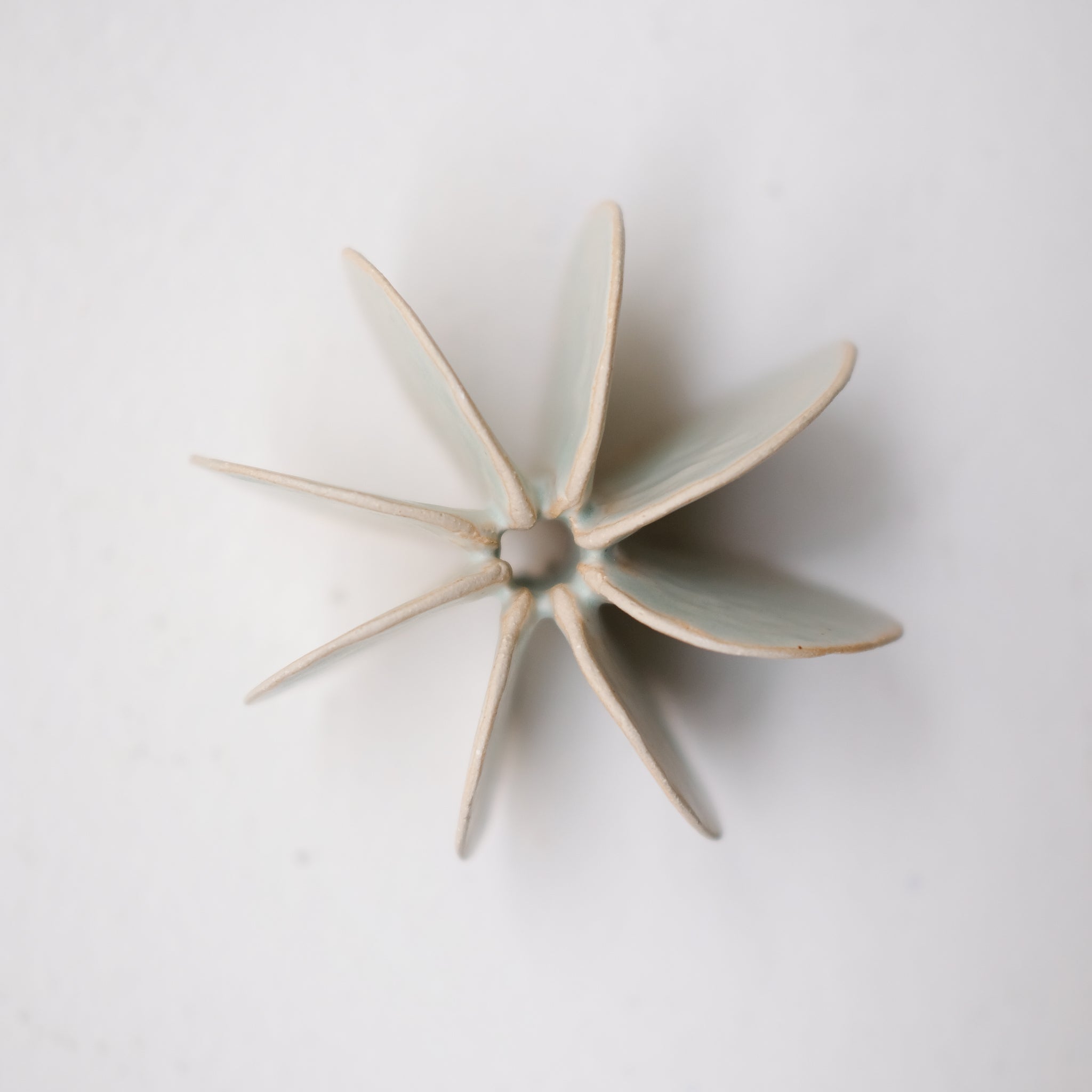 Objet Petale S en grès blanc D 9cm - Céladon de Motoko Saigo chez Brutal Ceramics