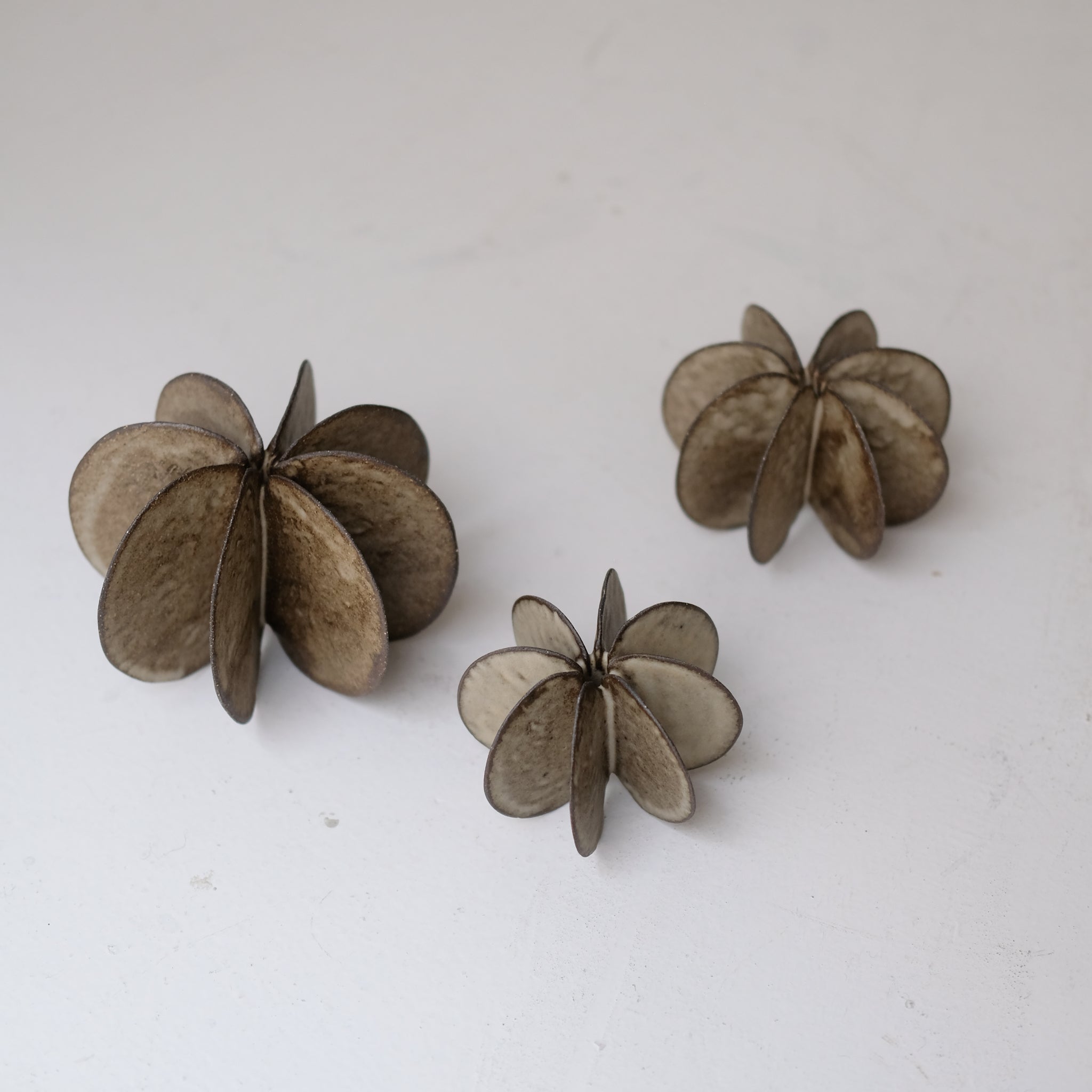 Objet Petale L en grès noir D 12cm - Brun foncé de Motoko Saigo chez Brutal Ceramics