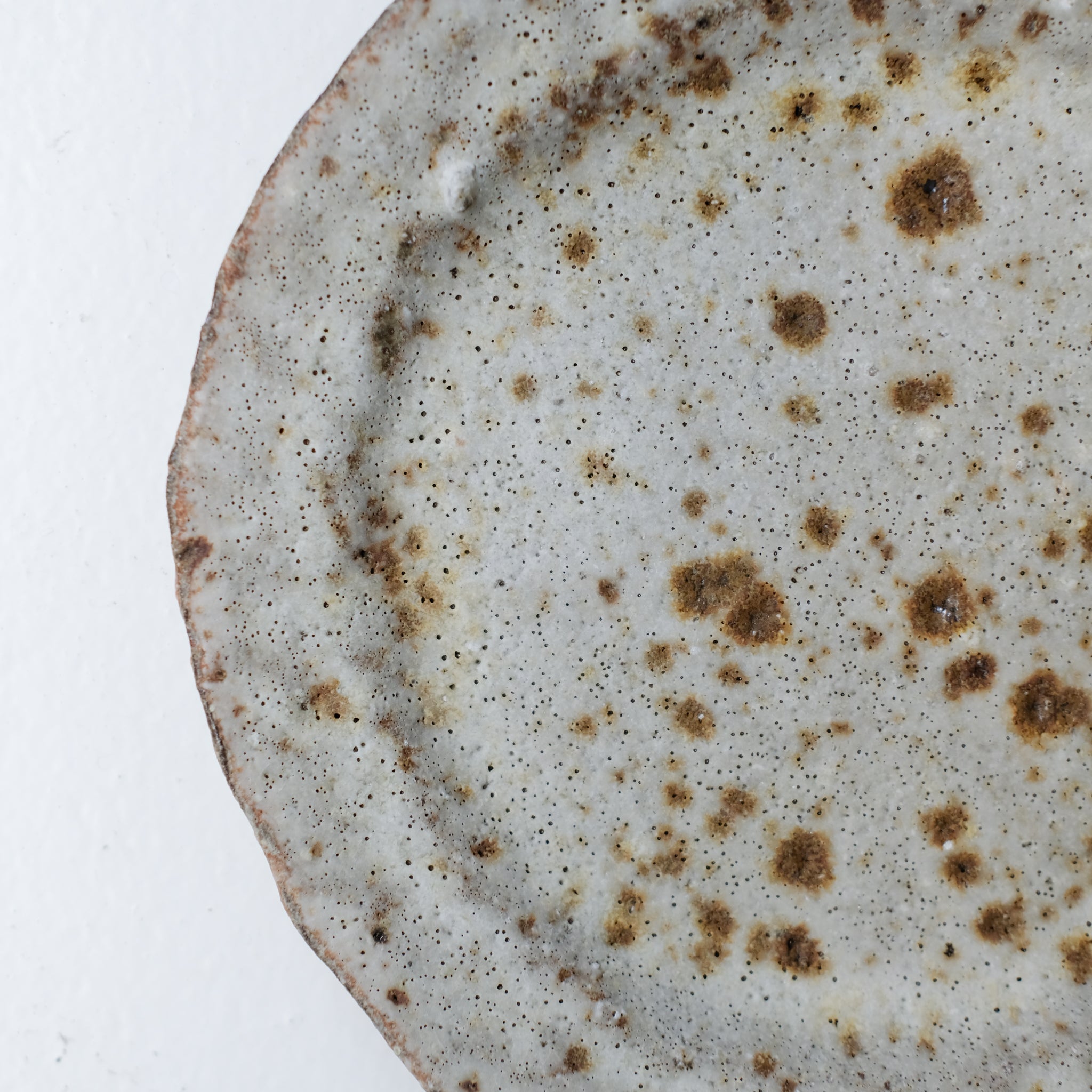 Assiette en terre recoltée D 20cm - blanc moucheté de Potry chez Brutal Ceramics