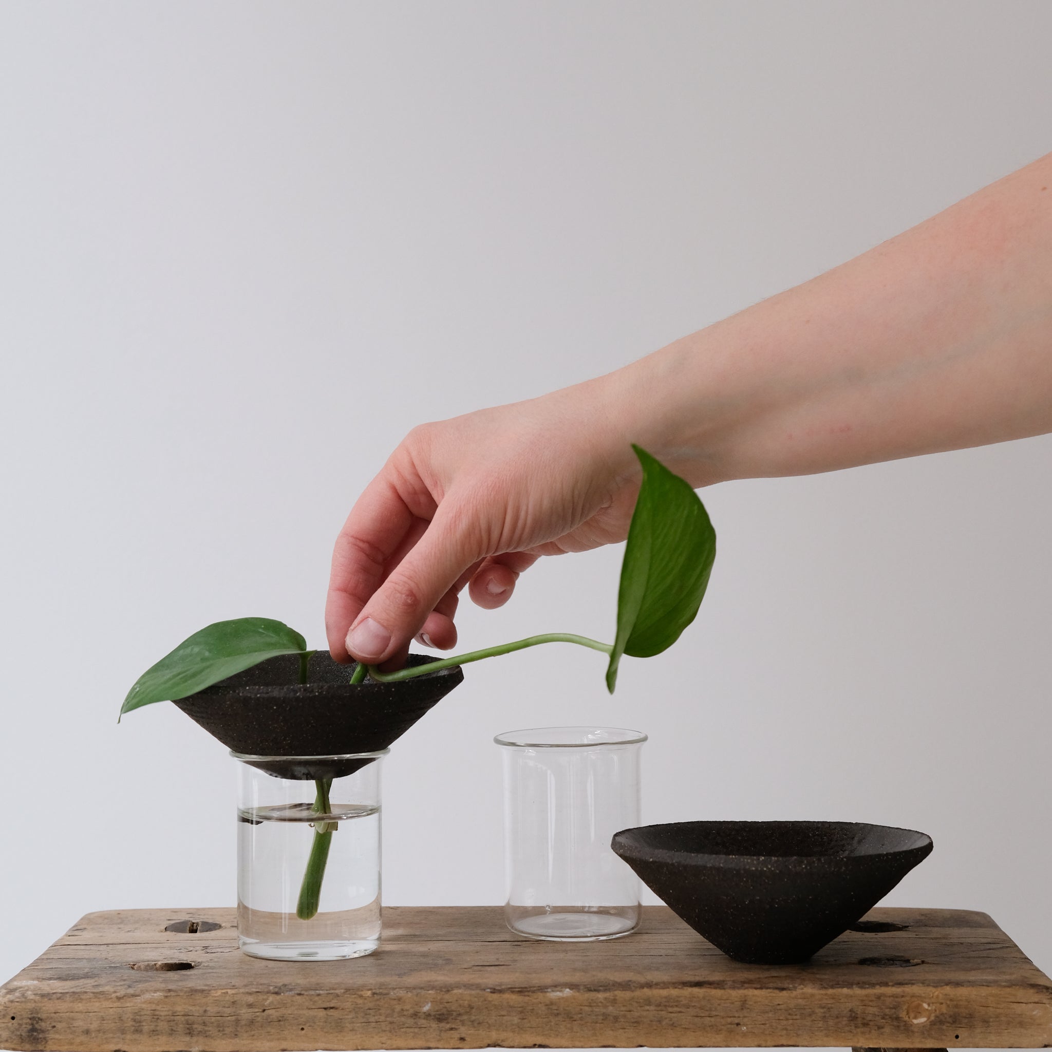 Kit Bouture par Studio Racines chez Brutal Ceramics