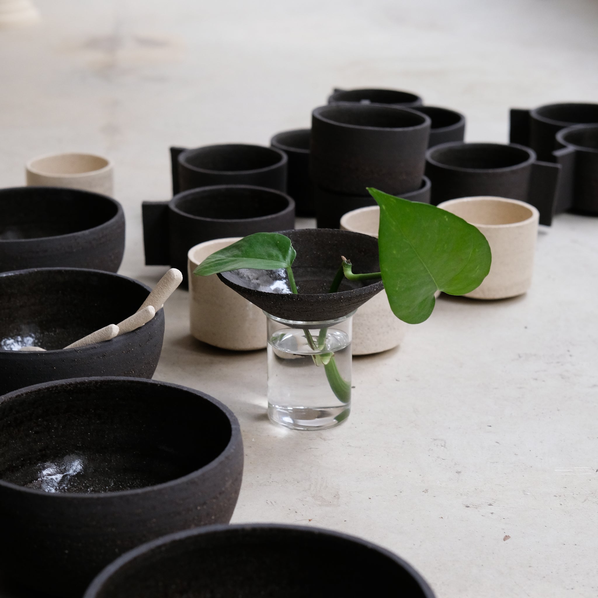 Kit Bouture par Studio Racines chez Brutal Ceramics