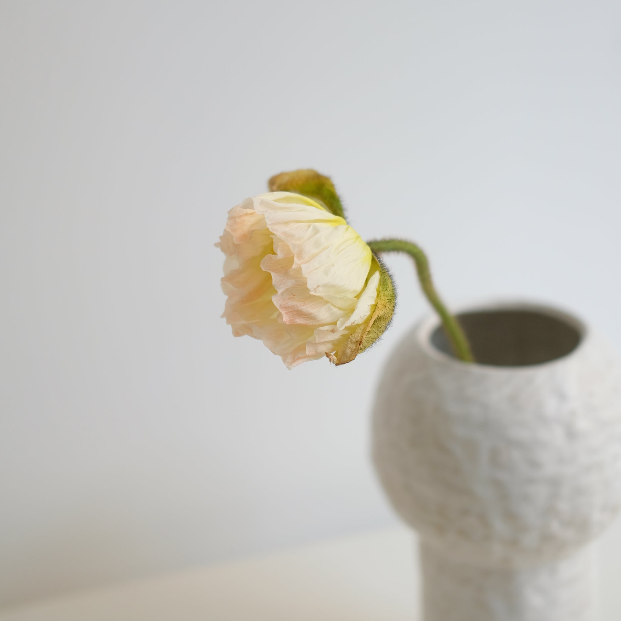 Vase 01 en grès blanc H24cm - Blanc texturé mat de Claire Cosnefroy chez Brutal Ceramics