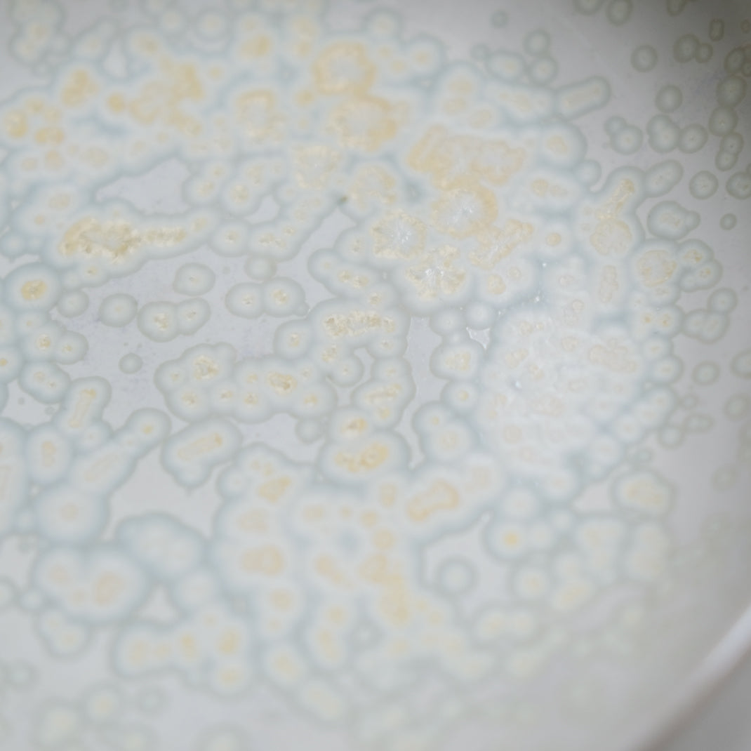 Assiette creuse nacrée réalisée par Haeghen dans son atelier parisien