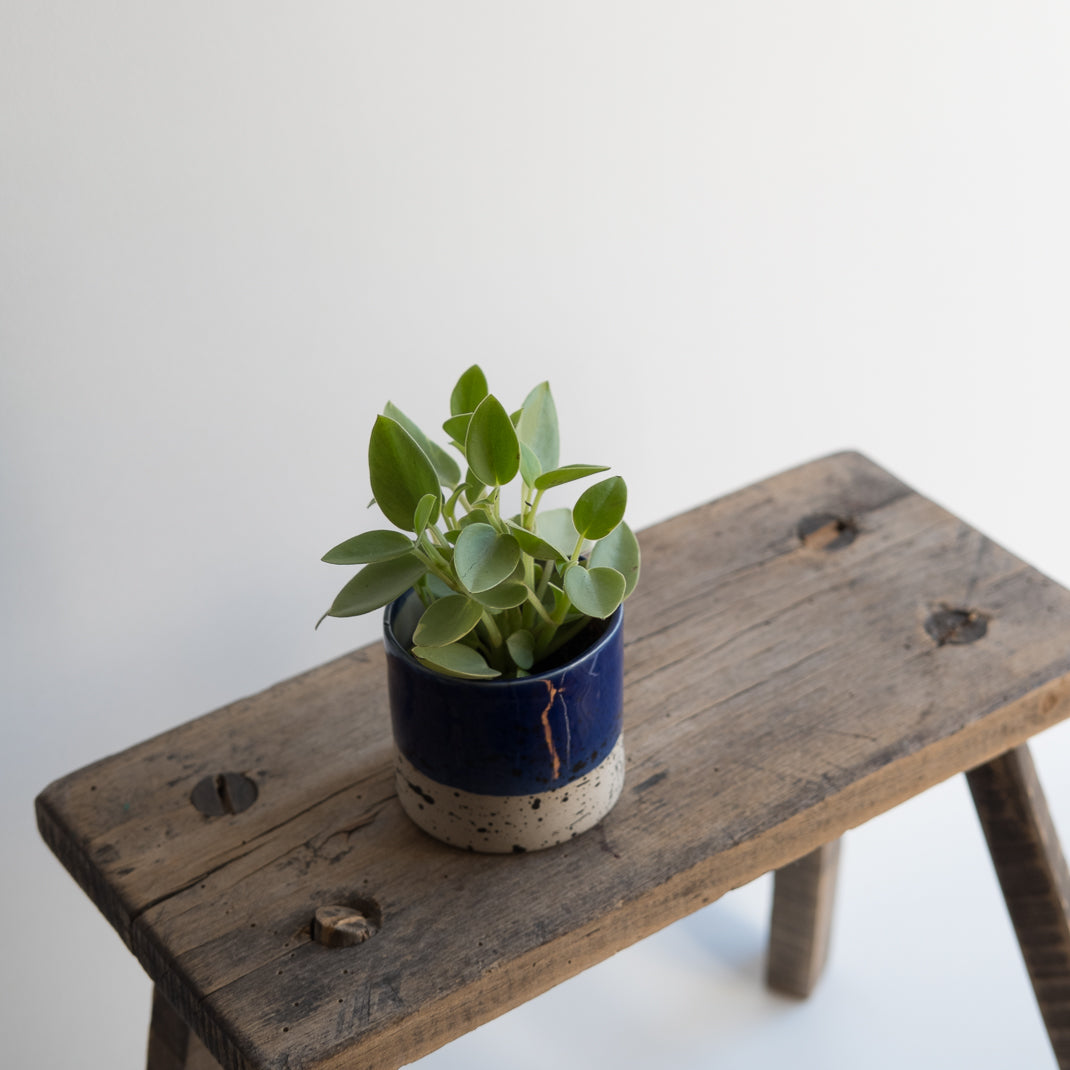 Pot bô moucheté bleu de Camille Esnée, céramiste designer, chez Brutal Ceramics