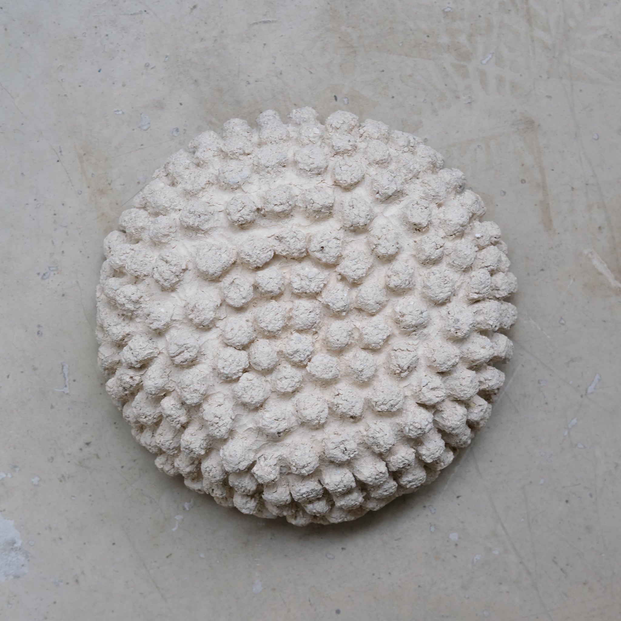 Coupe en grès blanc D 21cm - Blanc beige Katia Soussan chez Brutal Ceramics