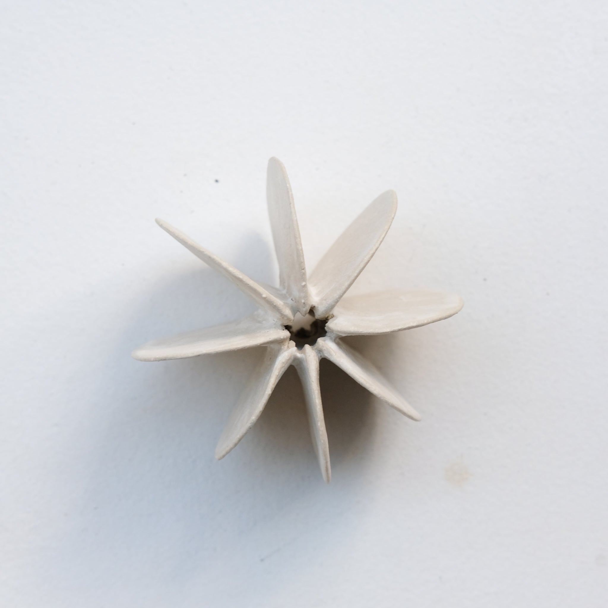 Objet Petale 01 D 7,6cm - blanc mat de Motoko Saigo chez Brutal Ceramics