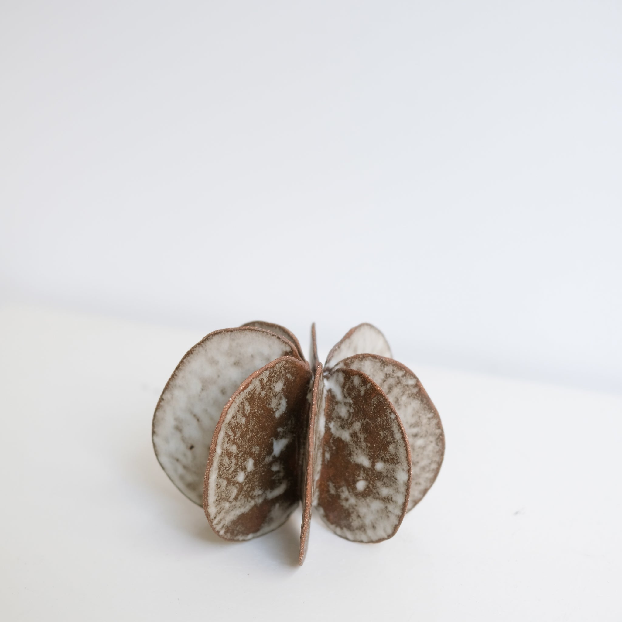 Objet Petale L en grès blanc D 14cm - brun mat de Motoko Saigo chez Brutal Ceramics