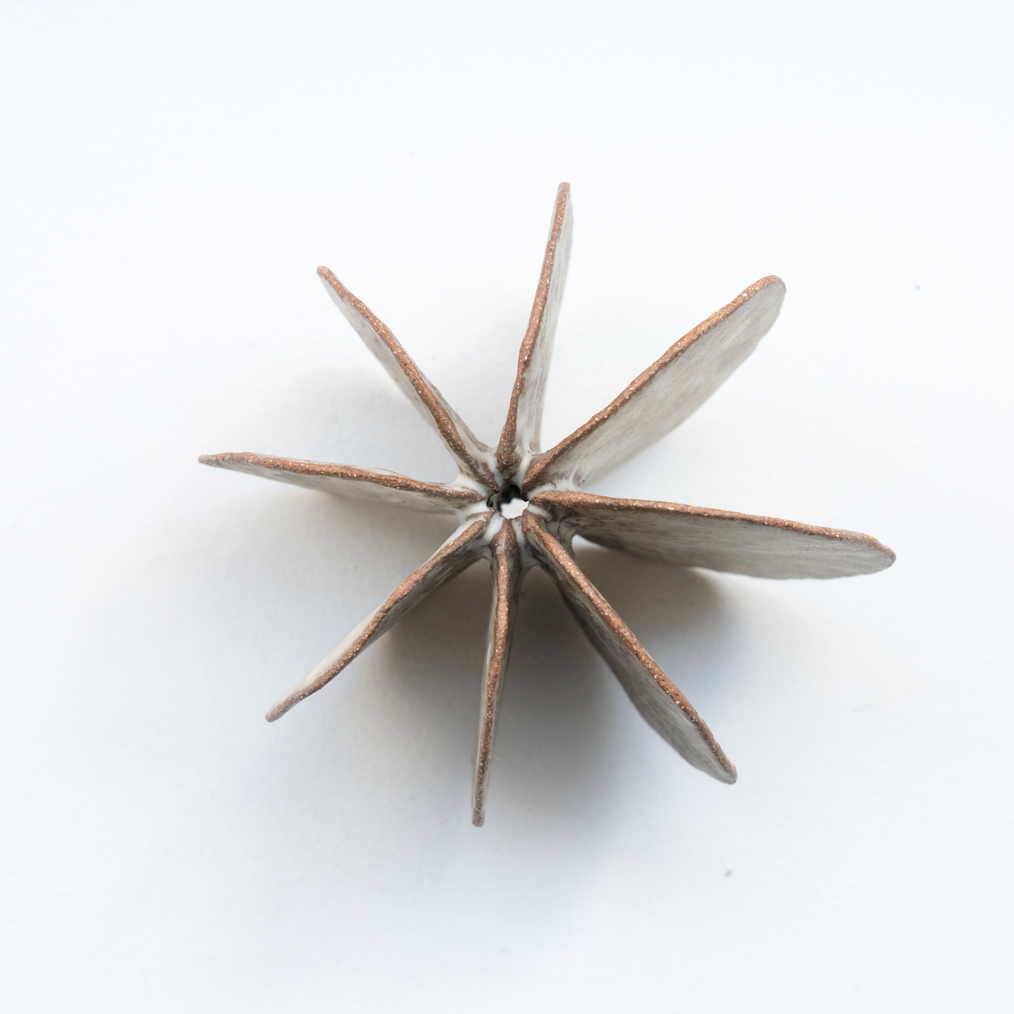 Objet Petale L en grès blanc D 14cm - brun mat de Motoko Saigo chez Brutal Ceramics