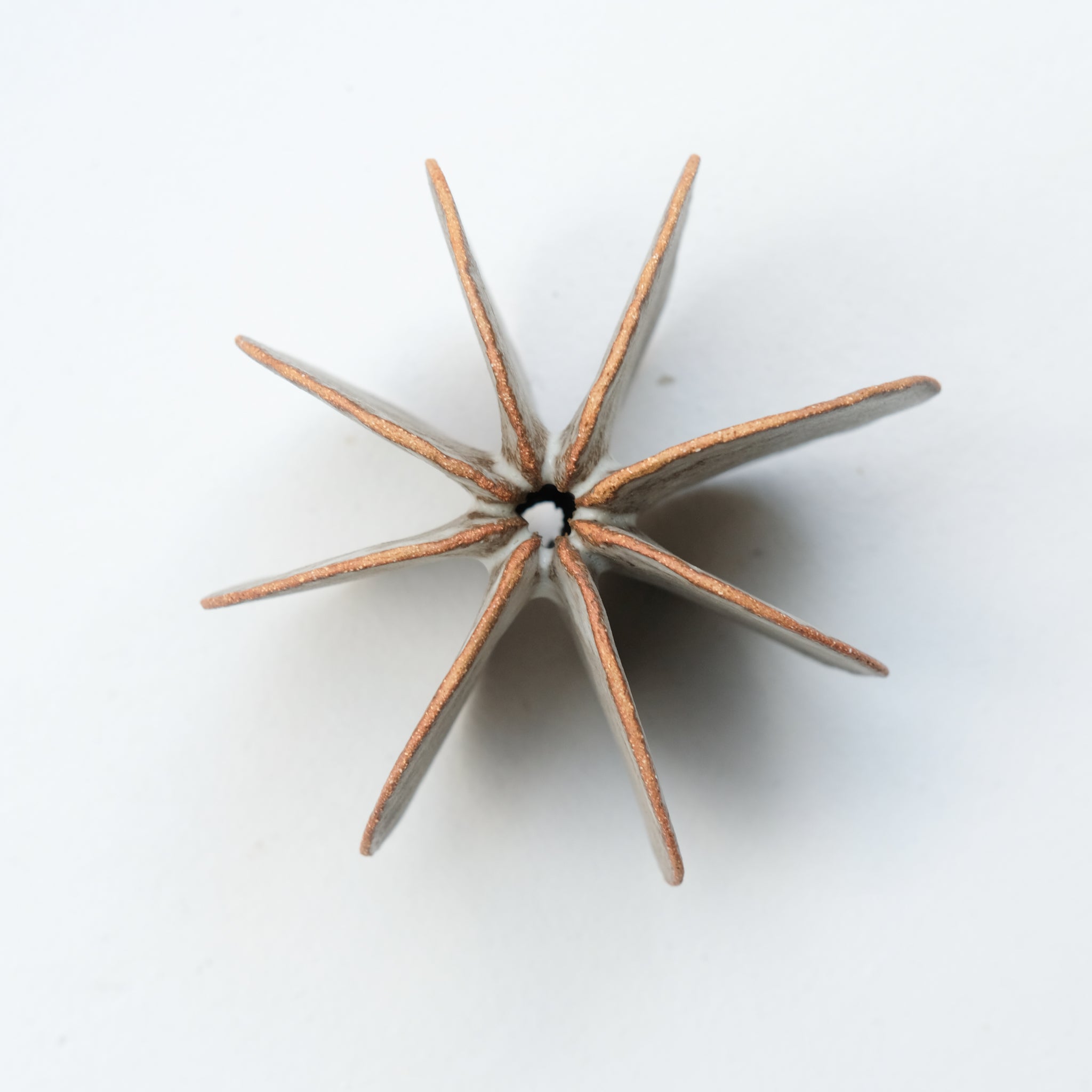 Objet Petale M en grès blanc D 10,8cm - brun mat de Motoko Saigo chez Brutal Ceramics