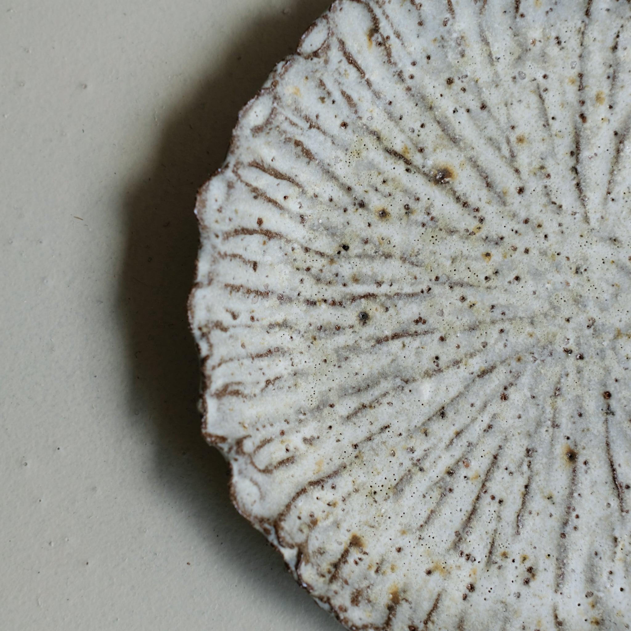 Assiette en terre recoltée D 19cm - blanc mat de Potry chez Brutal Ceramics