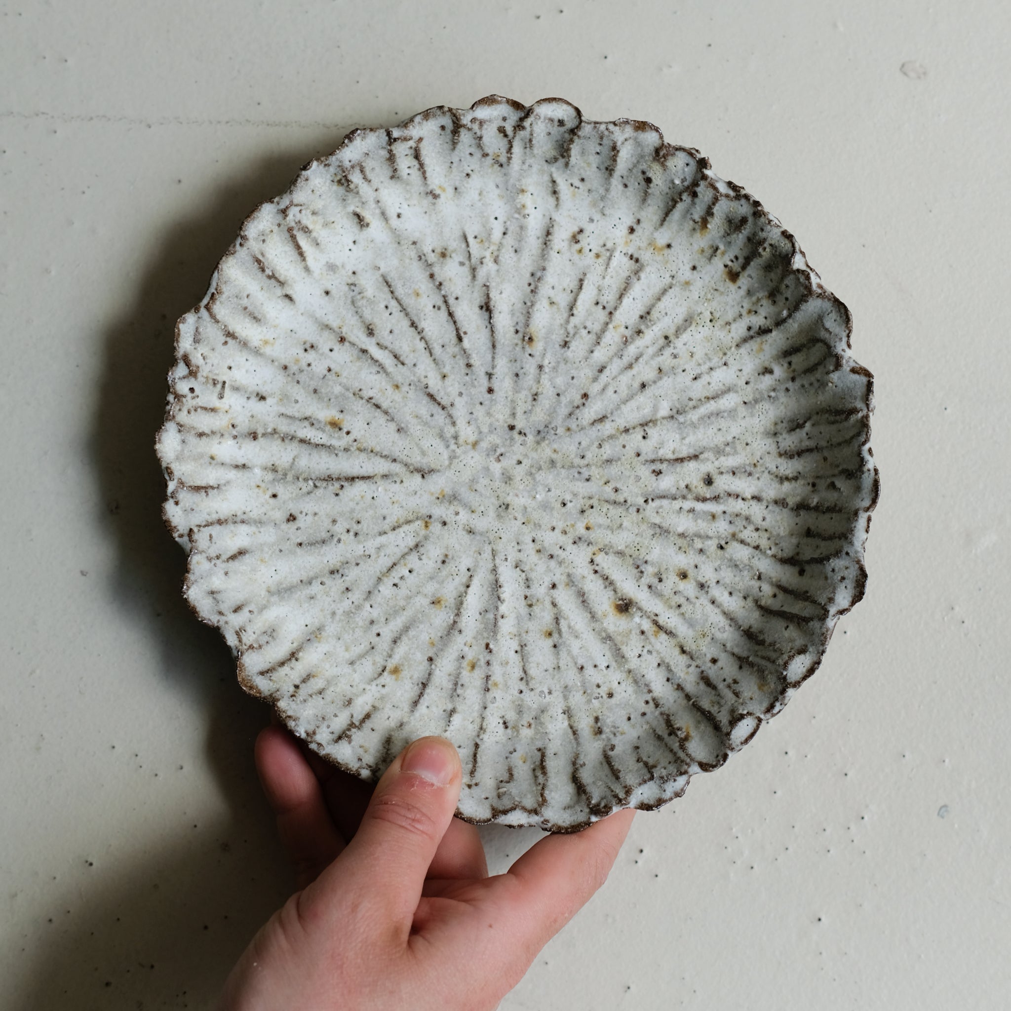 Assiette en terre recoltée D 19cm - blanc mat de Potry chez Brutal Ceramics