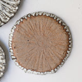 Assiette en terre recoltée D 19cm - blanc mat de potry chez Brutal Ceramics