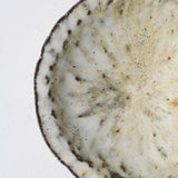 Bol à rebord en terre recoltée D 20,5cm - blanc et sable de Potry chez Brutal Ceramics