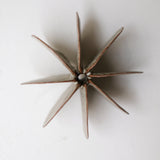 Objet Petale L en grès roux D 14cm - brun de Motoko Saigo chez Brutal Ceramics