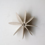 Objet Petale M en grès blanc D 11cm - blanc mat de Motoko Saigo chez Brutal