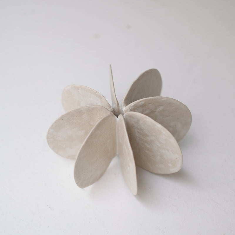 Objet Petale L en grès blanc D 14,3cm - blanc mat de Motoko Saigo chez Brutal Ceramics