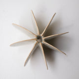 Objet Petale L en grès blanc D 12cm - Céladon de Motoko Saigo chez Brutal Ceramics