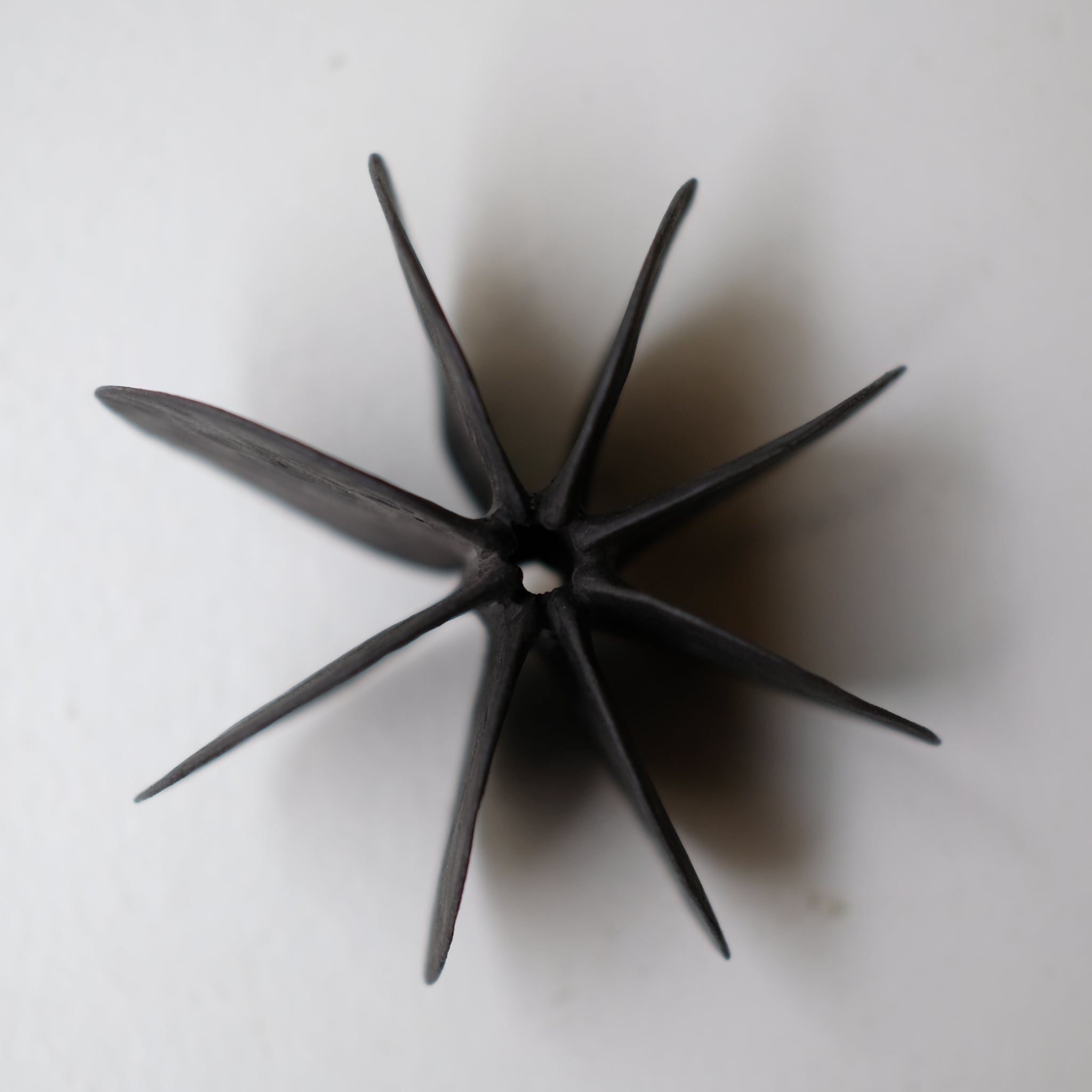 Objet Petale L en grès noir D 13,5cm - Noir mat de Motoko Saigo chez Brutal Ceramics