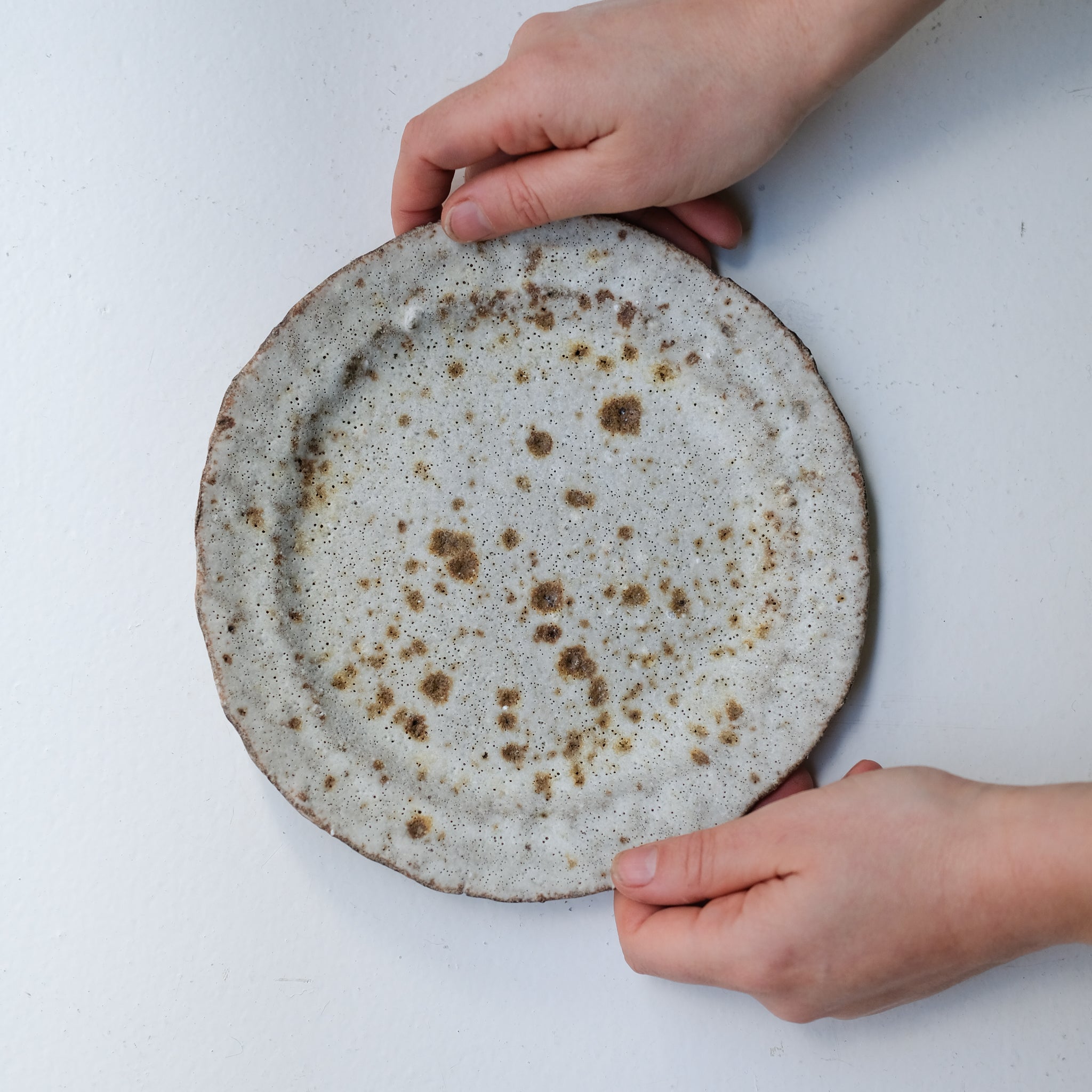 Assiette en terre recoltée D 20cm - blanc moucheté de Potry chez Brutal Ceramics