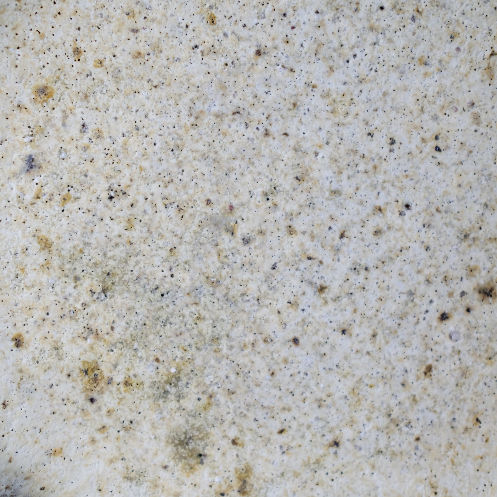 Assiette à rebord en terre recoltée D 26cm - blanc beige de Potry chez Brutal