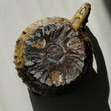 Pichet en terre recoltée cuisson feu 440ml - brun de Potry chez Brutal Ceramics