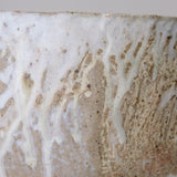 Coupe en terre recoltée D 28cm - vert blanc de Nathalie Réocreux chez Brutal Ceramics