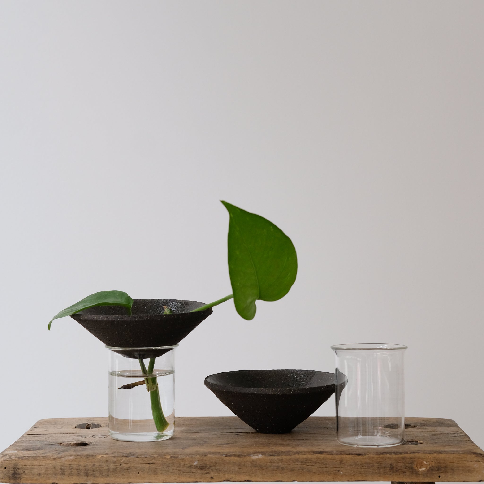 Kit Bouture par Studio Racines chez Brutal Ceramics