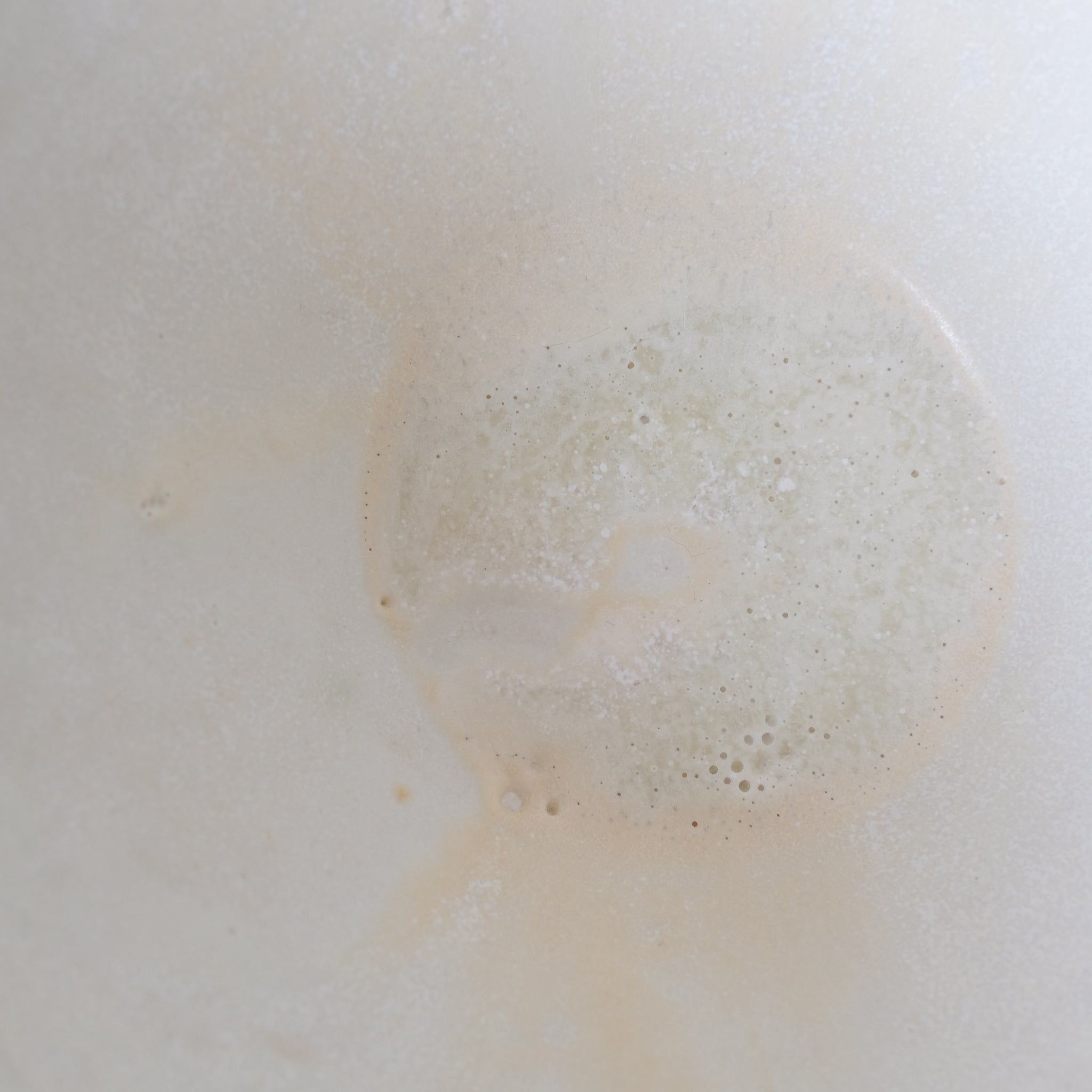 Saladier conique en grès blanc par Louise Noart pour Brutal