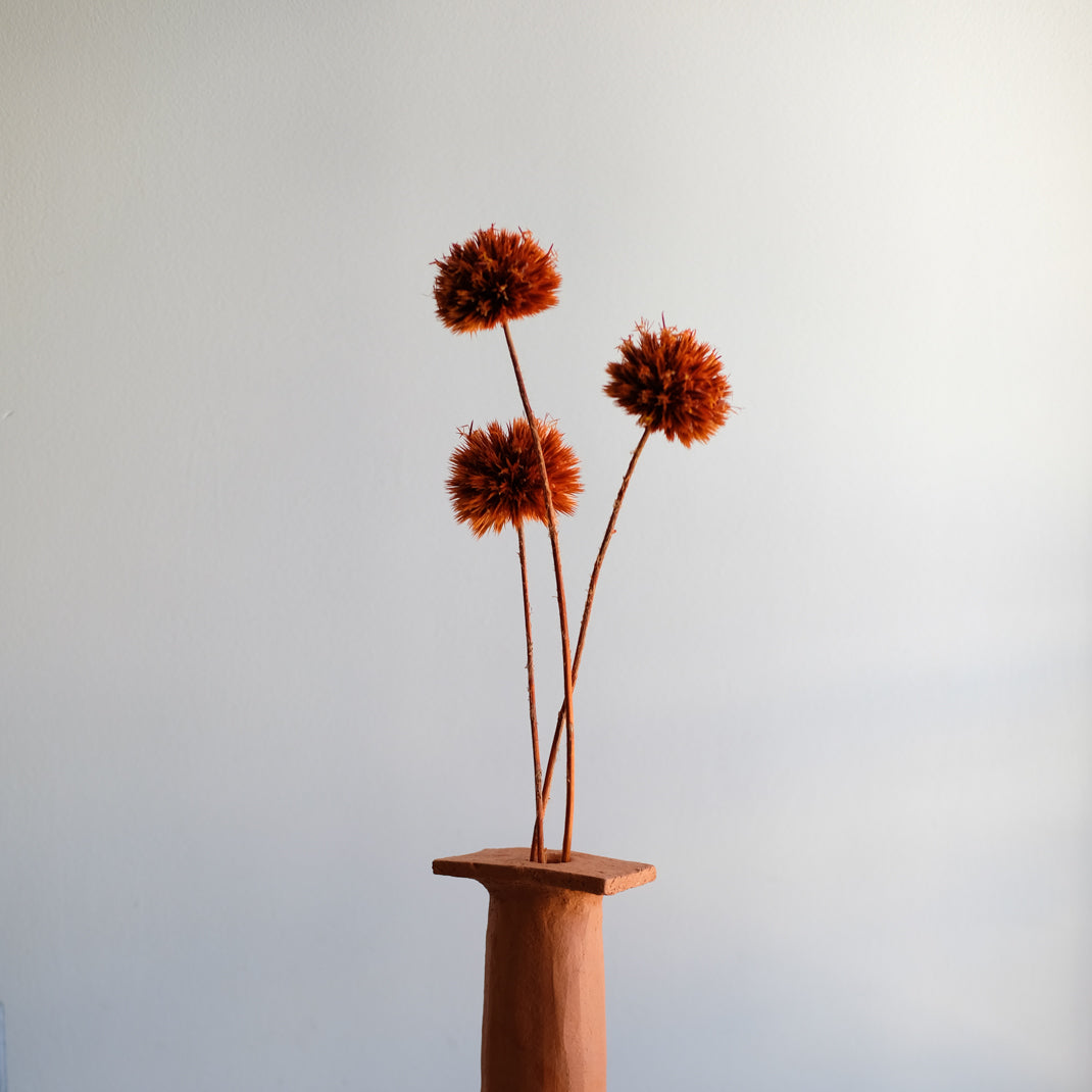 Vase Nando_01 d'Emmanuelle Roule chez Brutal Ceramics